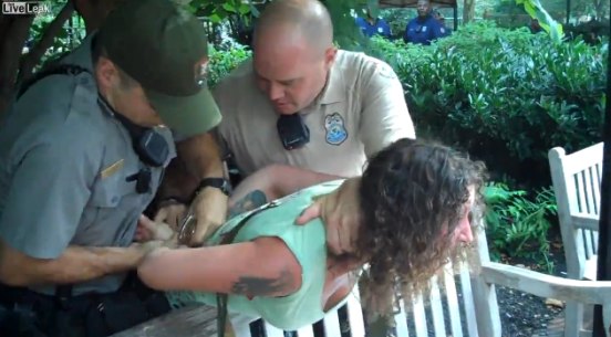 Screen grab of Emily 'assaulting' several National Park Police (click on the image to view the whole incident)