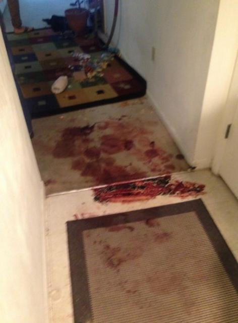 The pooled blood, viewed from the perspective of the front door, through the foyer, looking into the apartment.